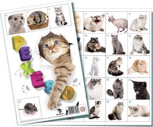 Stolová hra Pexeso Cats 32 dvojíc obrázkov
