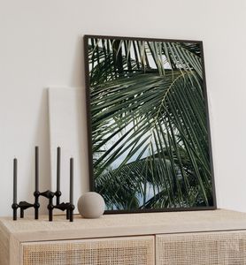 Poster Palmenblatt, groesse_poster:50x70 cm, groesse_rahmen:schwarz 50x70 cm