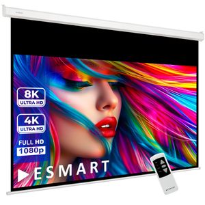 ESMART Professional MIMOTO GRAU | Tageslicht-Motorleinwand | 332 x 187 cm (150") 16:9 | Programmierbare Fernbedienung | Vollmaskierung | Heimkino elektrische Beamer Projektionsleinwand Motor Leinwand LCD LED