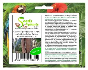 2x Canavalia gladiata weiß ca 4cm mehrjährige Bohne Garten Pflanzen- Samen B2326