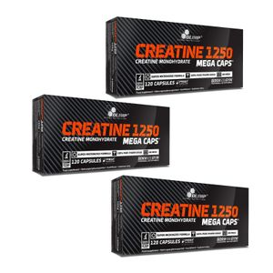 3x Olimp Creatine 1250 Mega Caps | 120 Kapseln (insg. 360 Stück) | 1250 mg | Kreatin Monohydrat | Bodybuilding Krafttraining Sportnahrung (3er Pack)