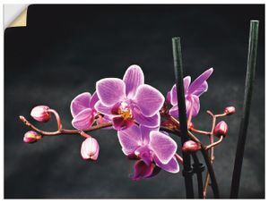 ARTland Wandbild, selbstklebend Eine Orchidee vor schwarzem Hintergrund Größe: 80x60 cm