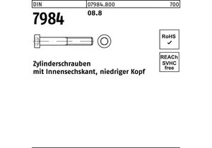 Zylinderschraube DIN 7984 m.Innensechskant M 3 x 6 8.8