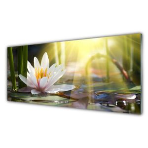 Acrylglasbilder - 125 cm x 50 cm - Bild - Wandbild Druck Blumen Wasser Pflanzen