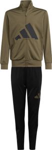 Teplakové soupravy Adidas Essentials Climacool JC9714