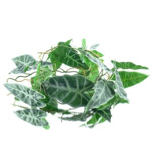 DPI Pfeilblatt - Alocasia Ranke Grün 115 cm - Kunstpflanzen