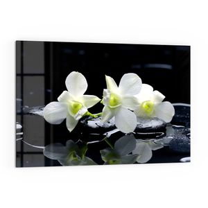 DEQORI Küchenrückwand Glas 60x40 cm 'Orchidee mit Zen-Steinen' Spritzschutz Bad Rückwand