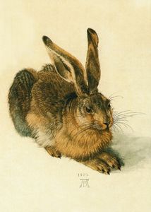 Kunstkarte Albrecht Dürer "Der Hase"