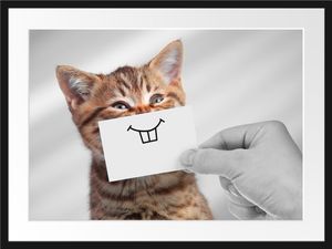 Lustige Katze mit Lächeln auf Papier B&W DetailBilderrahmen mit Galerie-Passepartout / Format: 80x60cm / gerahmt / hochwertige Leinwandbild Alternative