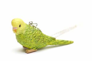 Wellensittich Kette Halskette Miniblings 80cm Vogel Vogelkette Gummi grün 6cm