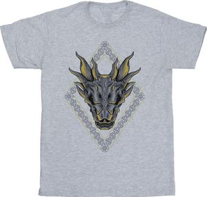 Game Of Thrones: House Of The Dragon - T-Shirt für Herren BI28876 (XXL) (Grau)