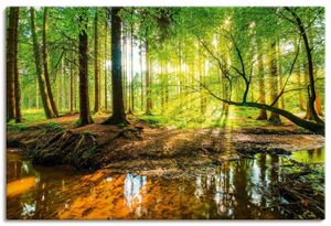 ARTland Leinwandbild Wald mit Bach Größe: 90x60 cm