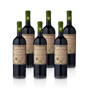 Doppio Passo Primitivo Puglia IGT 2020 | italienischer Rotwein aus Apulien (6x 0,75L)