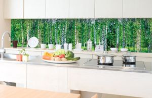 Küchenrückwand Folie selbstklebend BIRKENHAIN 350 x 60 cm - Klebefolie - Dekofolie - Spritzschutz für Küche -