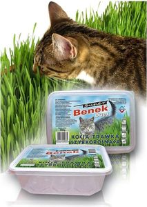 Super Benek Trawka szybkorosnąca dla kota 150g
