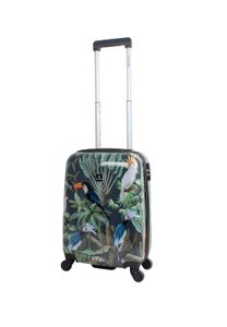 Saxoline Koffer Toucan mit schönem Toucanmotiv bunt One Size
