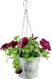 Blumenampeln Metall günstig online kaufen Kaufland.de
