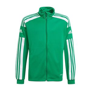 adidas Squadra 21 Trainingsjacke Kinder team green/white 176