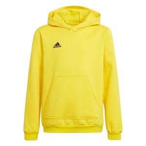 Adidas Bluzy Entrada 22, HI2142, Größe: 110