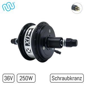 windmeile x Xiongda | 2-Gang Nabenmotor Dual Speed 36V 250W Heckmotor Hinterrad Motor Hinten, Schraubkranz, Scheibenbremse