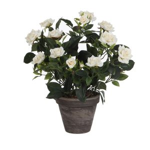 Mica Decorations Rosenstrauch Kunstpflanze im Blumentopf Stan - H33 x Ø25 cm - Weiß