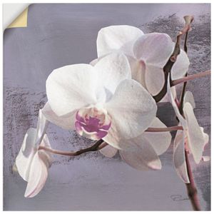 ARTland Wandbild, selbstklebend Orchideen vor Violett I Größe: 30x30 cm