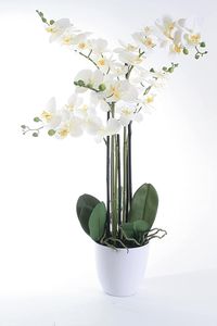 Wackadoo® Kunstblume Orchidee in eine tollen Größe von 80 cm mit real Touch Effekt der Blätter und Blüten in weißem Umtopf, Kunstblumen wie echt, Orchideen künstlich, künstliche Orchideen