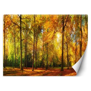 Fototapete Herbstwald - Vliestapete abwaschbare Deko Wohnzimmer 200x140 cm