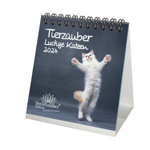 Tierzauber lustige Katzen Kalender für 2024 Format 10cm x 10cm Lustige Katzen  - Seelenzauber