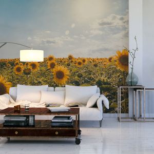 Muralo XXL Selbstklebende FOTOTAPETE FELD Sonnenblumen Natur Landschaft (B) 208 cm x (H) 146 cm Tapete Wandtapete WOHNZIMMER SCHLAFZIMMER 5197