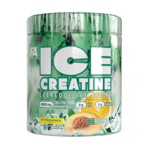 FA Nutrition Ice Creatine | 300g je Behälter | Citrus & Peach | Kreatin Pulver mit Kühleffekt | Kraftsport Body Building Muskelaufbau | Nahrungsergänzungsmittel