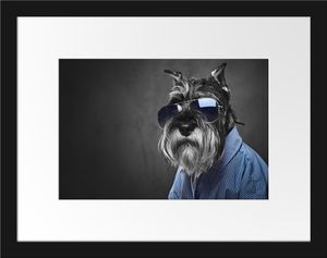 Lustiger Hund mit Hemd und Sonnenbrille B&W DetailBilderrahmen mit Galerie-Passepartout / Format: 38x30cm / gerahmt / hochwertige Leinwandbild Alternative