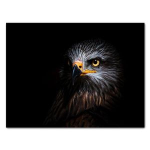 Leinwandbild Tiere, Adler M0569 – Extragroß - (100x75cm)