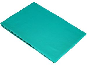 Bassetti Kissenbezug einzeln zu Bettwäsche UNI Farbe ALOE 1242 CL Größe 40x80 cm Bassetti Kissenbezug einzeln zu Bettwäsche UNI Farbe ALOE 1242 CL Größe 40x80 cm