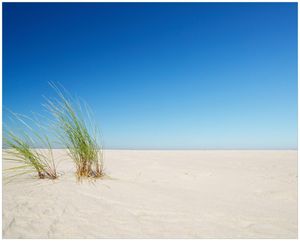 Wallario Poster - Sandstrand unter blauem Himmel, Kunstdruck Größe: 40 x 50 cm