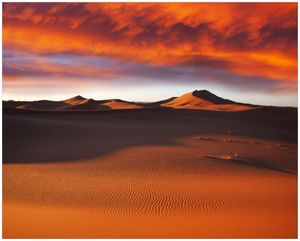 Wallario Poster - Sahara Wüste II - Sanddünen im Sonnenuntergang, Kunstdruck Größe: 40 x 50 cm