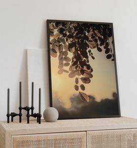 Poster Herbst Farben, groesse_poster:50x70 cm, groesse_rahmen:birke 50x70 cm