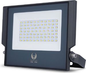 Forever Light Fluter Flutlichtstrahler Floodlight LED ASPIRE Außenbeleuchtung 50W 5500lm 230V IP66 Neutralweiß