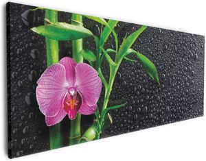 Wallario Premium Leinwandbild Bambus und pinke Orchidee auf schwarzem Glas mit Regentropfen in Größe 50 x 125 cm