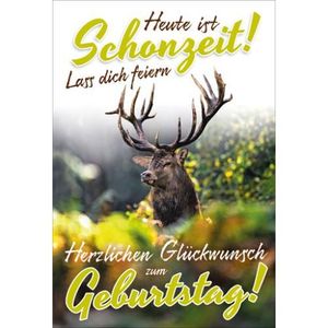 Glückwunschkarte für Jäger - Doppelkarte mit Briefumschlag - 11,5 x 17 cm - Geburtstagskarte für Jäger - Weidmannsheil-Jagd-Karte - Hirsch