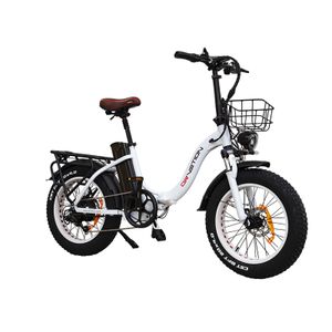 20" Fat Tire E-Fahrrad，Elektrofahrrad E-Bike E-Klapprad,Faltbares E-Citybike mit 48V/15Ah ,250W