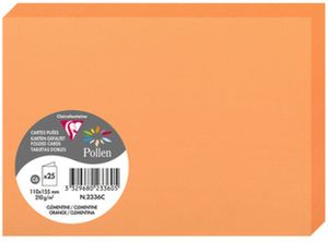 Pollen by Clairefontaine Doppelkarte C6 clementine 25 Karten