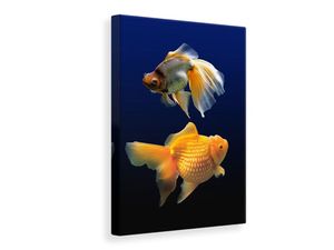 Leinwandbild 2 Lustige Fische, Maße:50x75cm