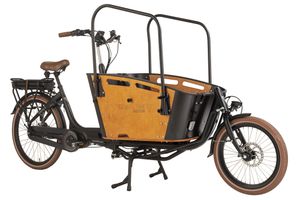 Adore Lastenrad E-Cargo Bike Carry On 2