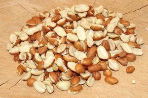 Futterbauer 25 kg  Erdnüsse teilblanchiert Erdnußkerne Vogelfutter ganze halbe Nüsse Vogelfutter