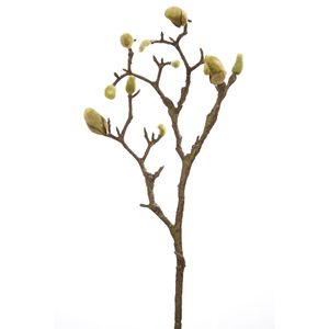 Fink Kunstblume Magnolienknospenzweig dunkelbraun, grün Kunstfasern Höhe  cm