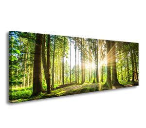 120 x 40 cm Bild auf Leinwand grüner Wald im Gegenlicht 5730-SCT deutsche Marke und Lager  -  Die Bilder / das Wandbild / der Kunstdruck ist fertig gerahmt