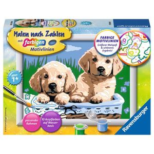 Süße Hundewelpen Ravensburger 27839