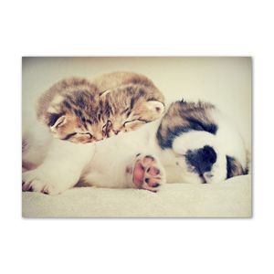 Tulup® Leinwandbild - 100x70 cm - Wandkunst - Drucke auf Leinwand - Leinwanddruck  - Tiere - Braun - Zwei Katzen Hund