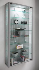 Vitrosa Maxi Vitrinenschrank Wandhängend mit 2 Glastüren 8 Glasböden Silberfarbig.